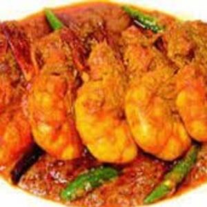 Modern Indian cuisine Farnborough